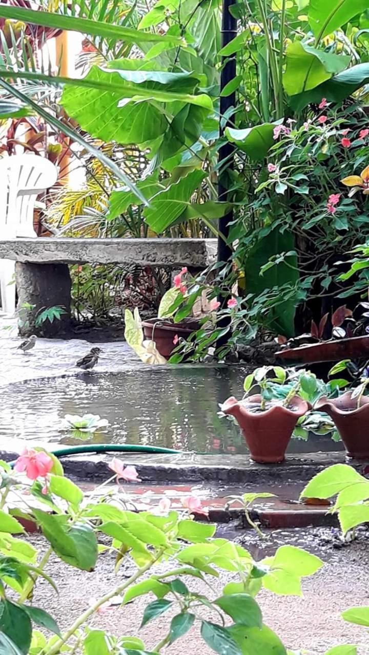 Pousada Brumar Rio de Janeiro Esterno foto